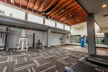 a gym with a treadmill and weights on the floor